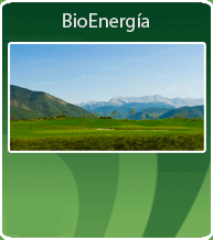 Bioenerga